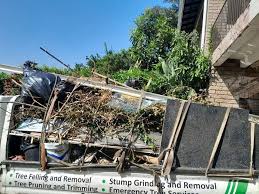 Trusted Pacifica, CA Junk Removal Experts